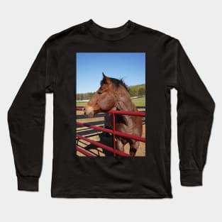 bay horse with red fence Long Sleeve T-Shirt